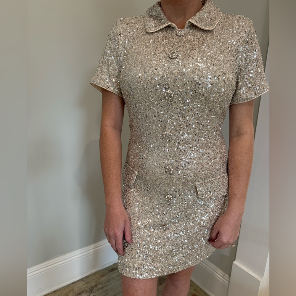 Precious Mable (Sold at Anthropologie) Sequin Dress! Multiple sizes available!